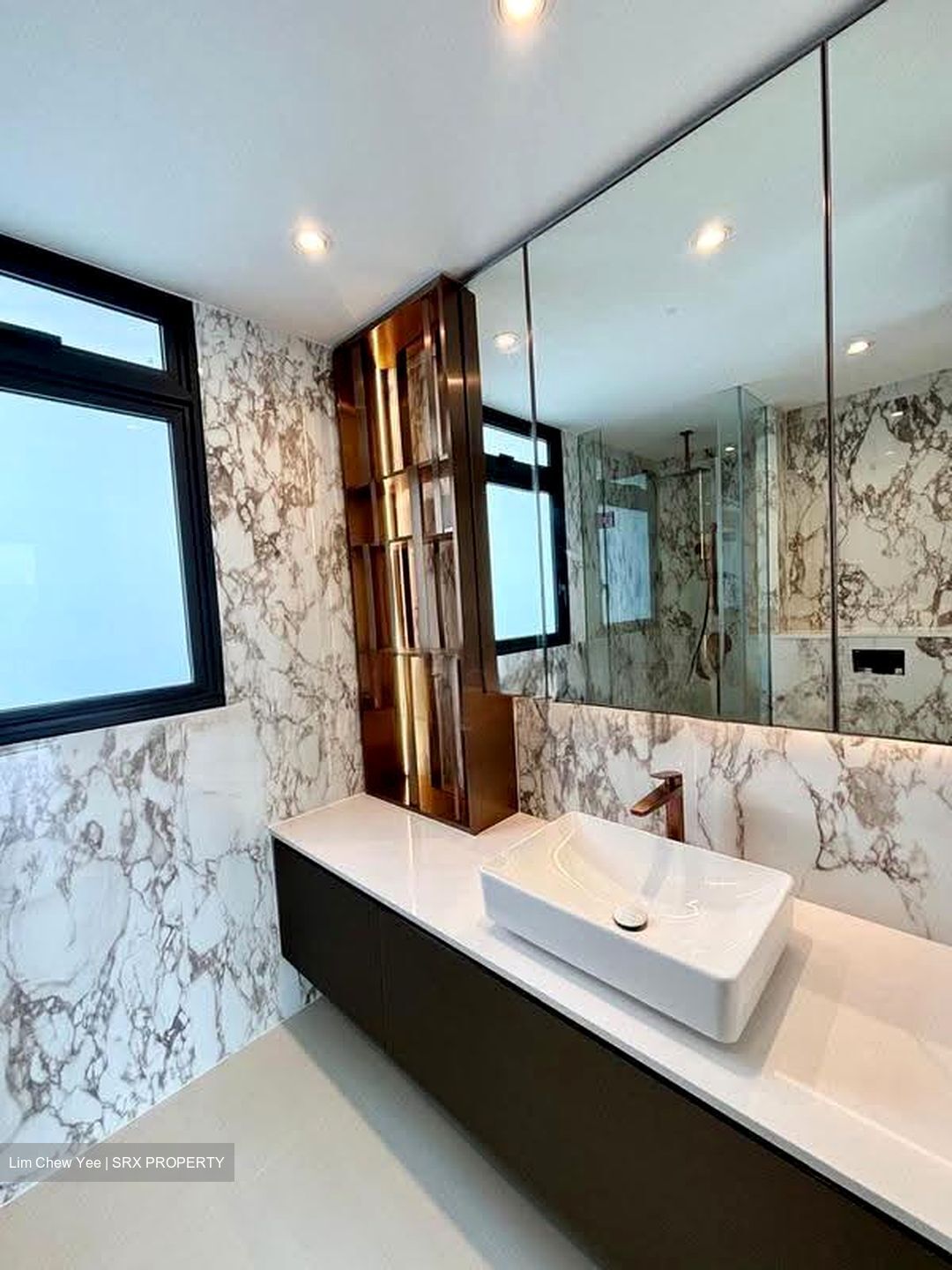 Irwell Hill Residences (D9), Apartment #627450511